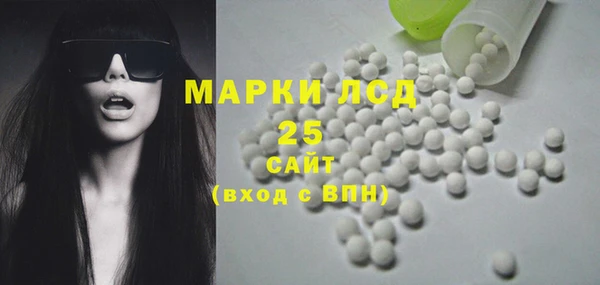 гидра Каменногорск