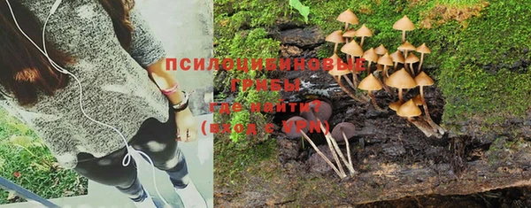 PSILOCYBIN Зерноград