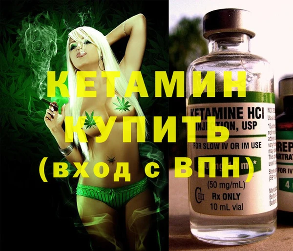 гидра Каменногорск