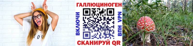 цены   Кировград  Псилоцибиновые грибы Magic Shrooms 