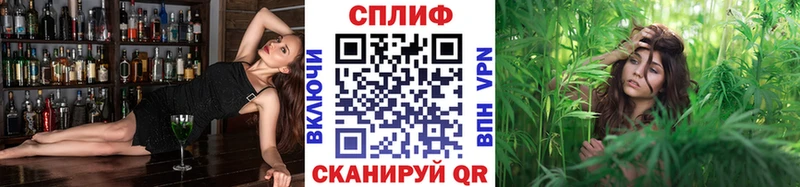 Канабис MAZAR  гидра маркетплейс  Кировград  дарнет шоп 